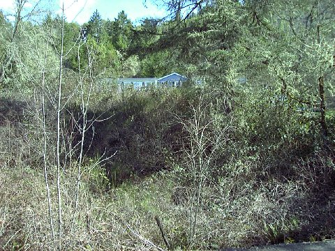 Brush encroaching upon this house makes it barely visible to the human eye from the road. Should a fire occur here, it would only consider the structure as additional fuel for the fire.
