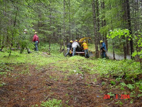 Brush and other hazardous materials are cut and then returned to the landscape through a chipper.
