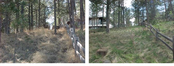 Cooke Street photos before and after. This project is within 1/2 mile of the State Capital Building. 